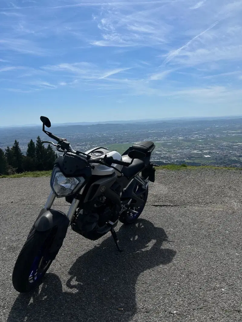 Yamaha MT-125 (2014 - 16) (6)