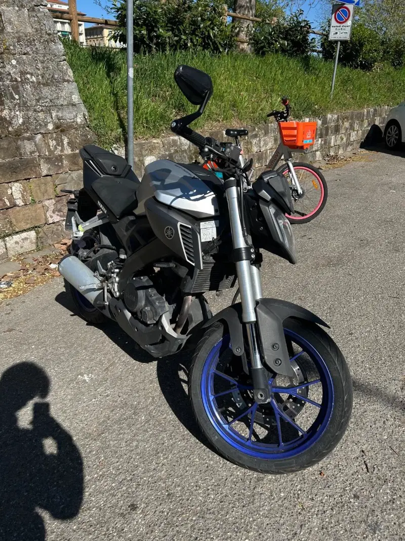 Yamaha MT-125 (2014 - 16) (9)