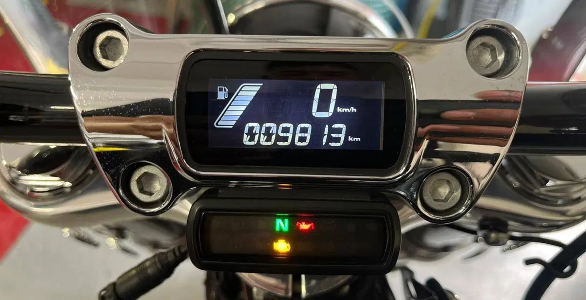 Harley-Davidson Softail Standard (2021 - 25) (3)