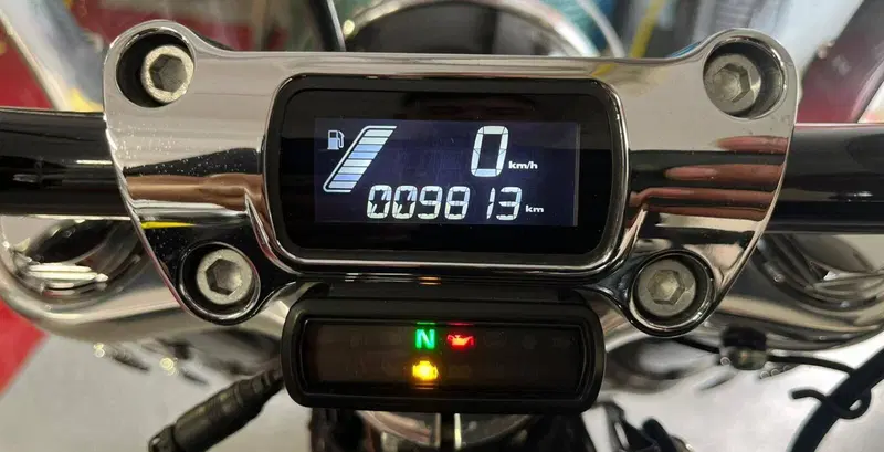 Harley-Davidson Softail Standard (2021 - 25) (3)