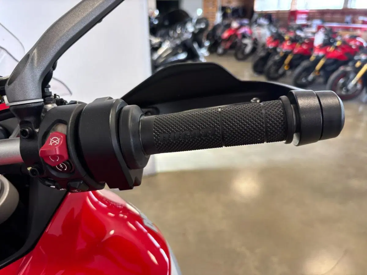 Ducati Multistrada V4 (2021 - 24) (11)