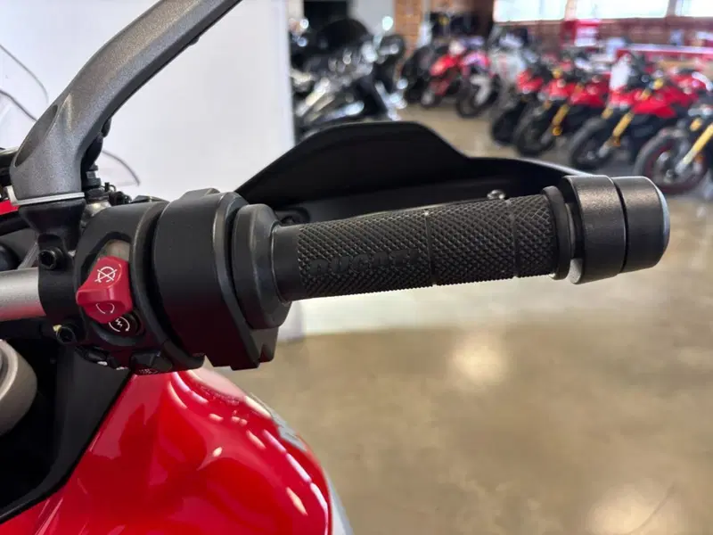 Ducati Multistrada V4 (2021 - 24) (11)