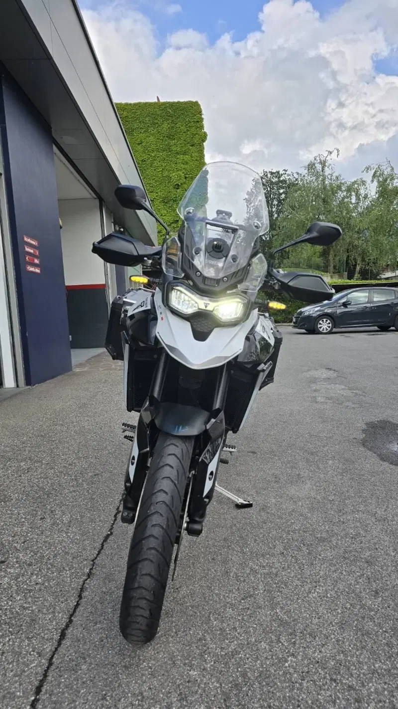 Triumph Tiger 1200 Rally Pro (2024 - 26) (9)
