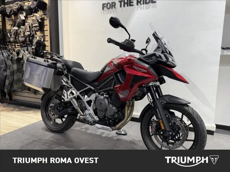 Triumph Tiger 1200 GT Pro (2024 - 26) (9)