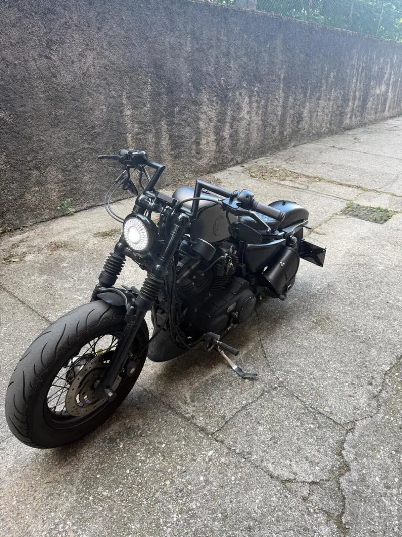 Harley-Davidson 1200 Forty-Eight (2010 - 15) (2)