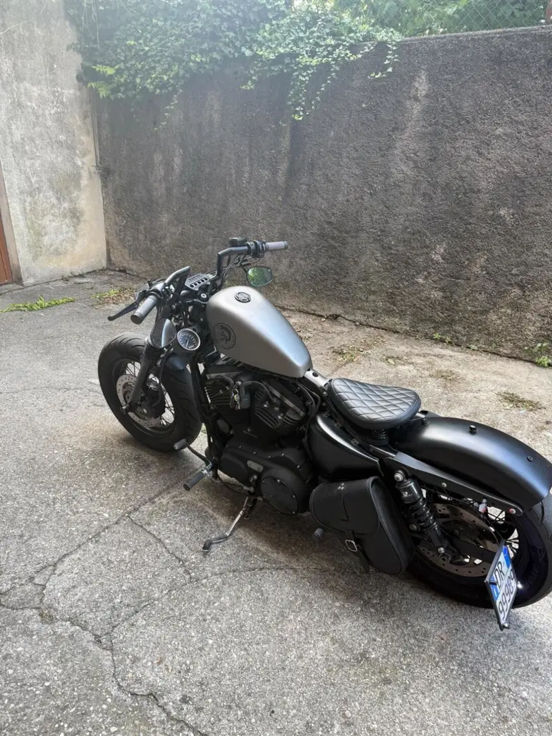 Harley-Davidson 1200 Forty-Eight (2010 - 15) (6)
