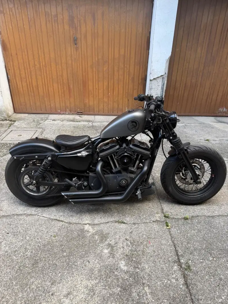 Harley-Davidson 1200 Forty-Eight (2010 - 15) (8)