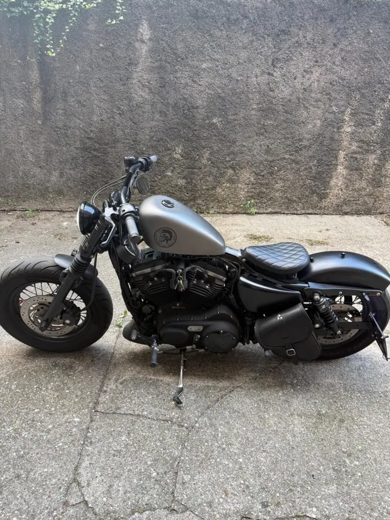 Harley-Davidson 1200 Forty-Eight (2010 - 15) (9)