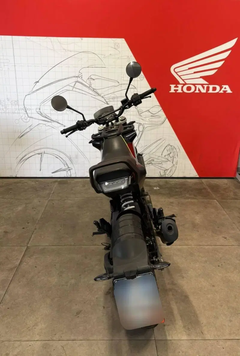 Husqvarna Svartpilen 401 (2018 - 19) (3)