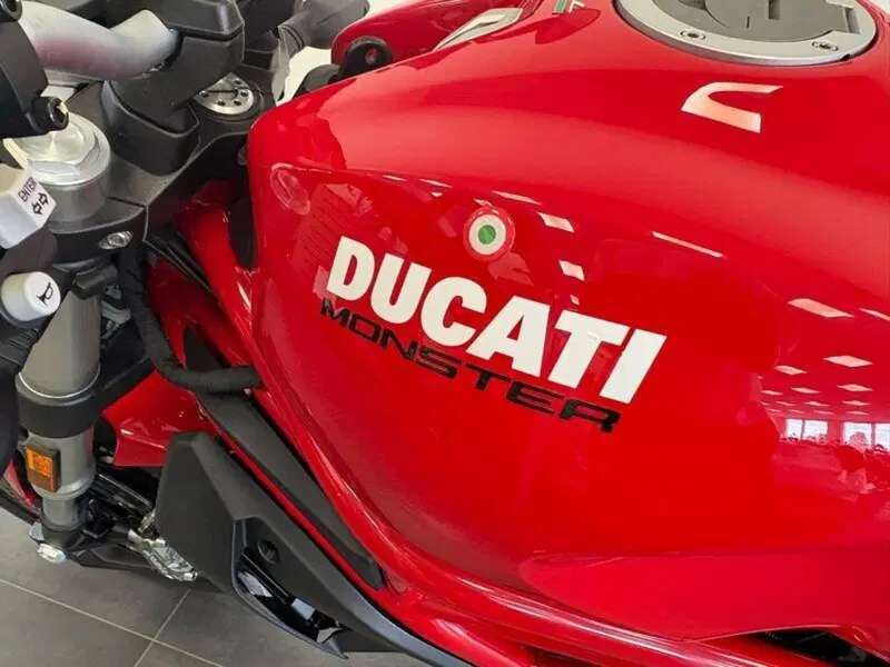 Ducati Monster 797 (2019 - 20) (5)