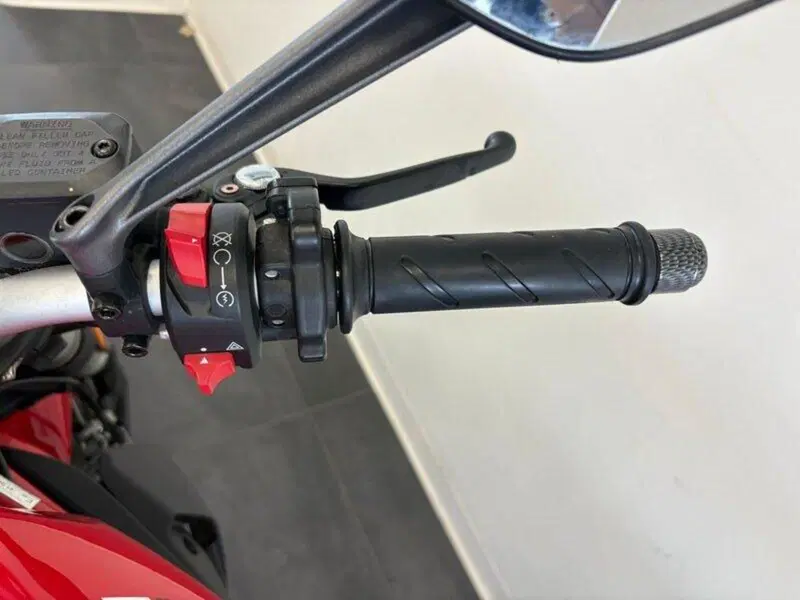 Ducati Monster 797 (2019 - 20) (9)