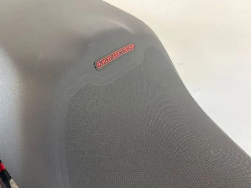 Ducati Monster 797 (2019 - 20) (16)