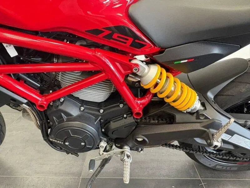 Ducati Monster 797 (2019 - 20) (6)