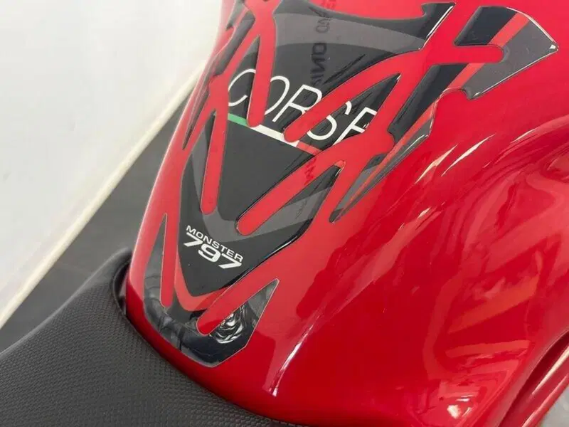 Ducati Monster 797 (2019 - 20) (15)