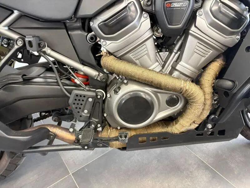 Harley-Davidson Pan America 1250 Special (2020 - 25) (13)