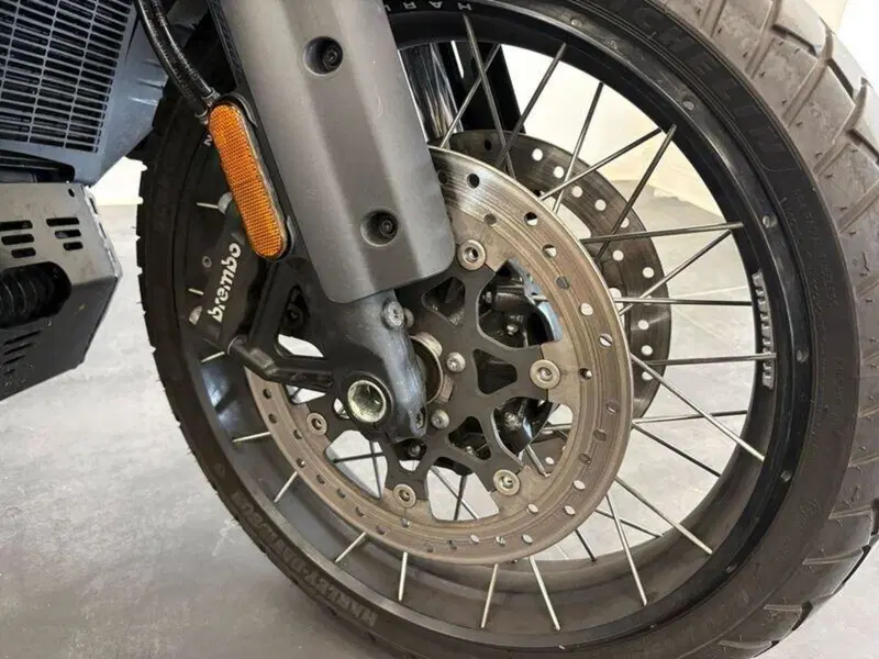 Harley-Davidson Pan America 1250 Special (2020 - 25) (15)