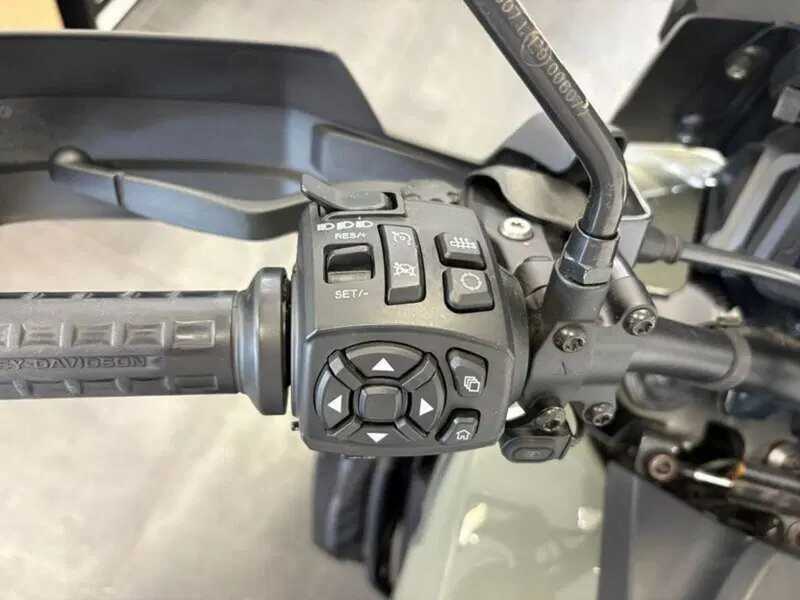 Harley-Davidson Pan America 1250 Special (2020 - 25) (17)