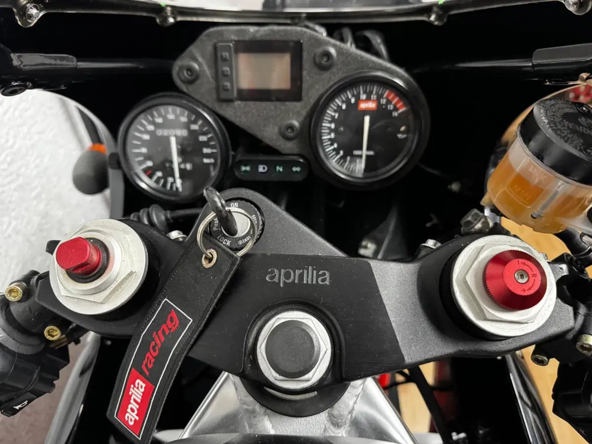 Aprilia RS 250 (1995 - 98) (2)