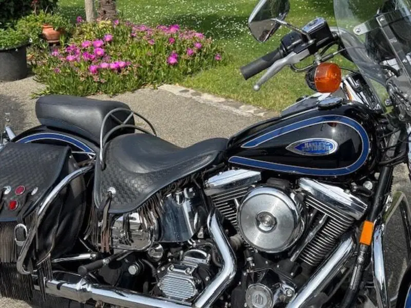 Harley-Davidson 1340 Heritage Springer (1997 - 99) - FLSTS (12)