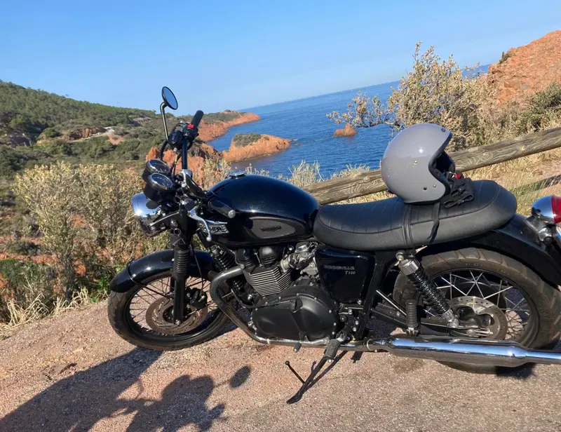 Triumph Bonneville T100 (2008 - 16) (2)