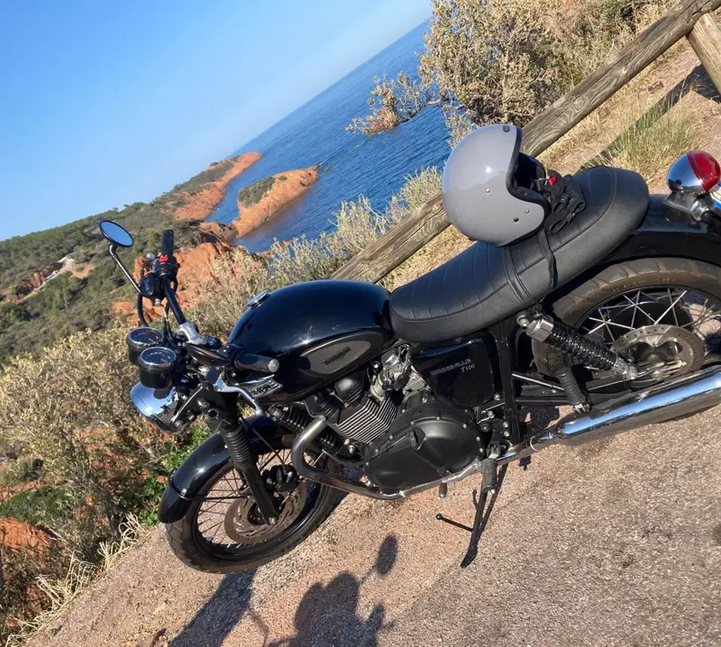 Triumph Bonneville T100 (2008 - 16) (3)