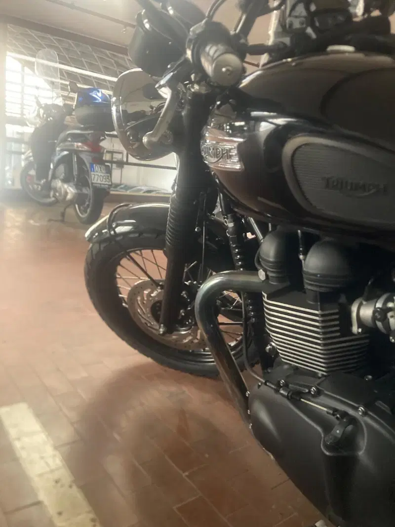 Triumph Bonneville T100 (2008 - 16) (4)