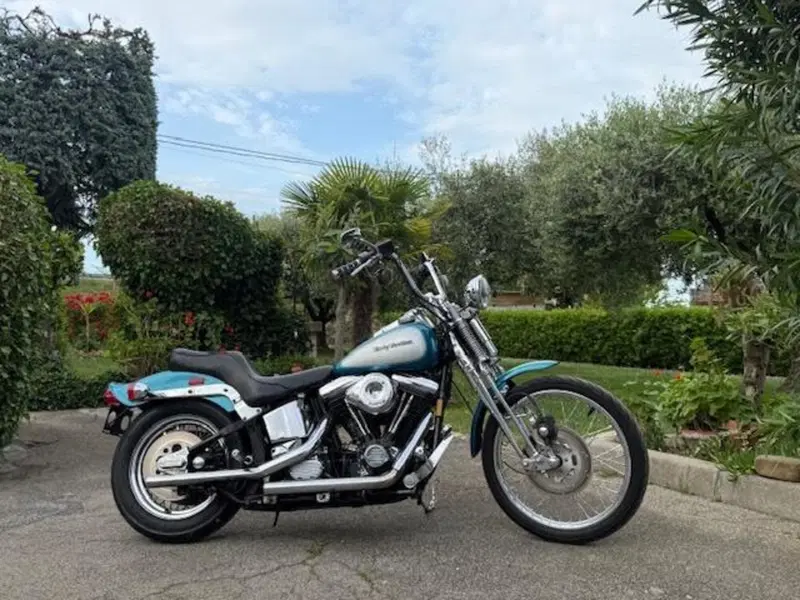 Harley-Davidson 1340 Springer (1990 - 98) - FXSTS