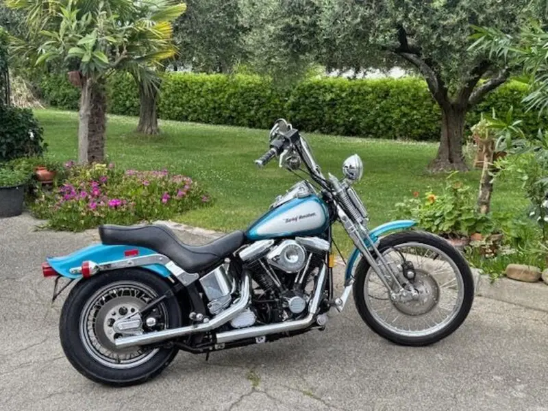 Harley-Davidson 1340 Springer (1990 - 98) - FXSTS (2)
