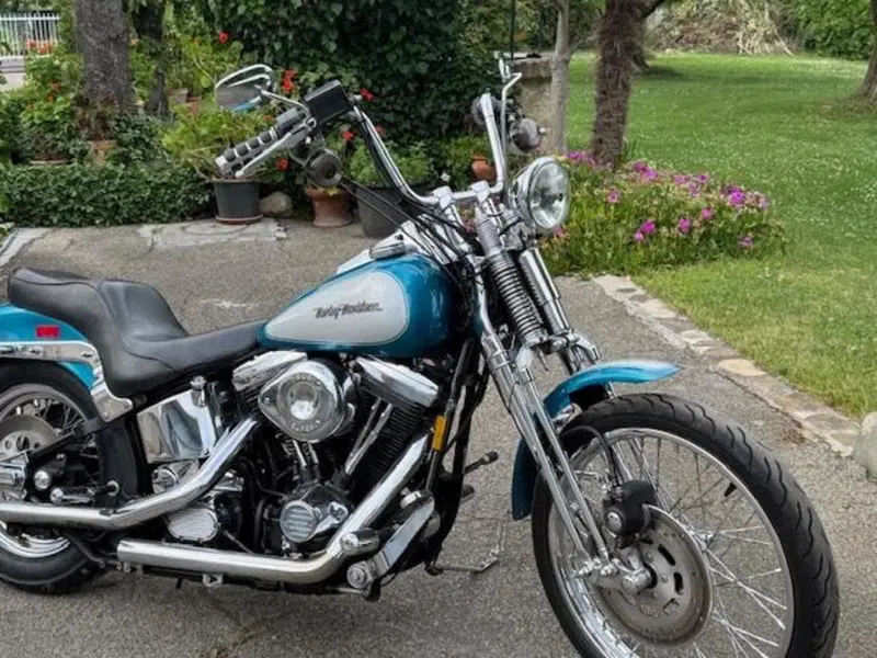 Harley-Davidson 1340 Springer (1990 - 98) - FXSTS (3)