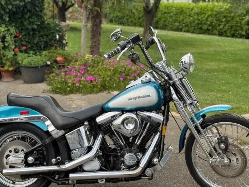 Harley-Davidson 1340 Springer (1990 - 98) - FXSTS (4)