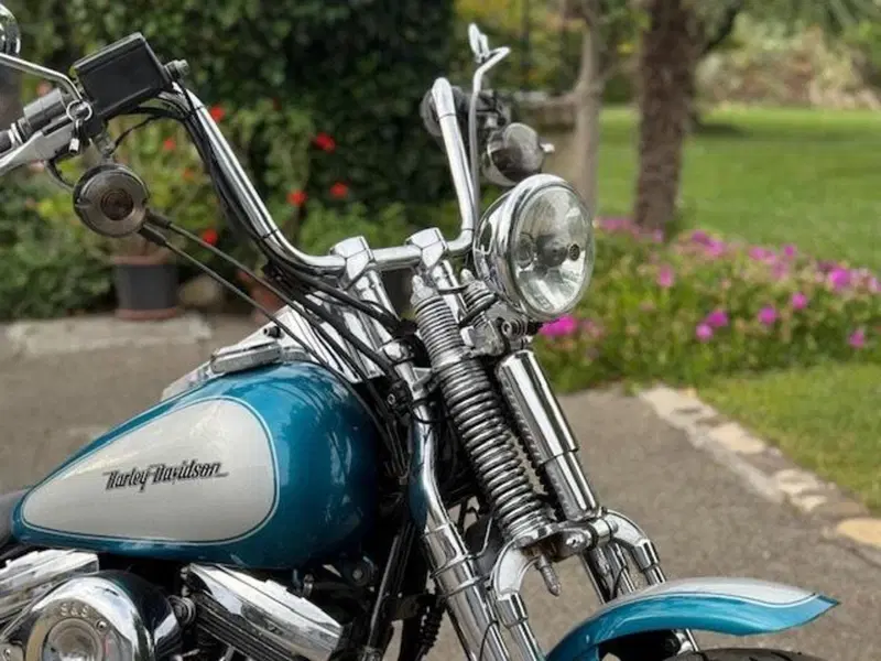 Harley-Davidson 1340 Springer (1990 - 98) - FXSTS (5)