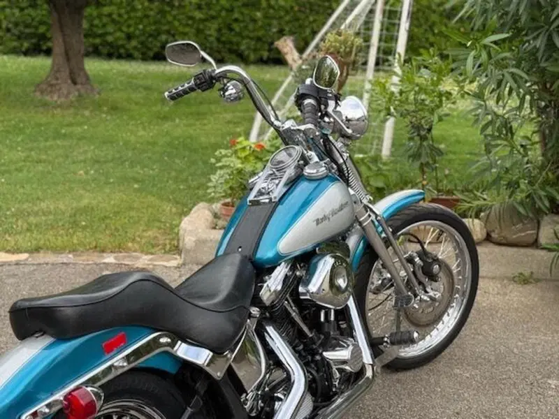 Harley-Davidson 1340 Springer (1990 - 98) - FXSTS (6)