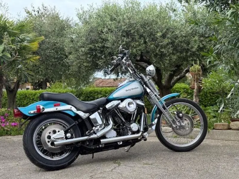 Harley-Davidson 1340 Springer (1990 - 98) - FXSTS (7)