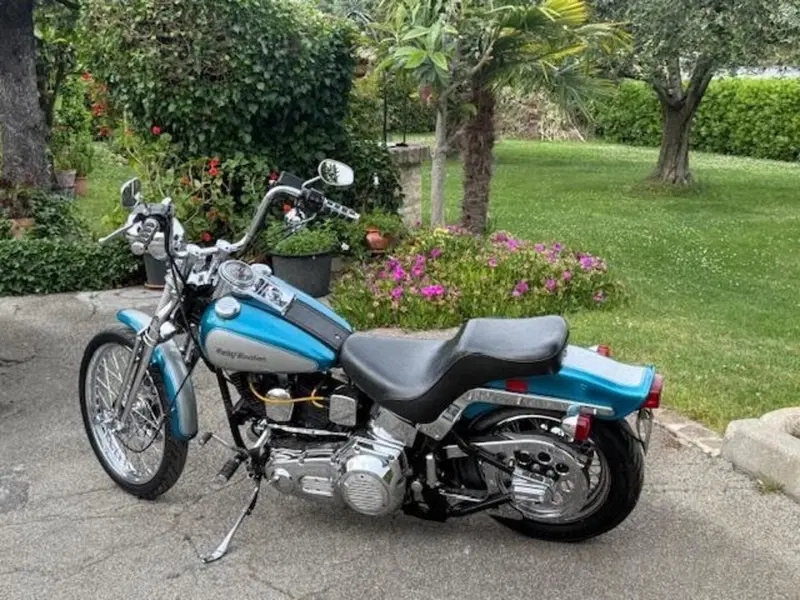 Harley-Davidson 1340 Springer (1990 - 98) - FXSTS (8)