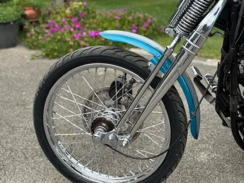 Harley-Davidson 1340 Springer (1990 - 98) - FXSTS (10)