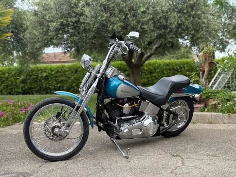 Harley-Davidson 1340 Springer (1990 - 98) - FXSTS (11)