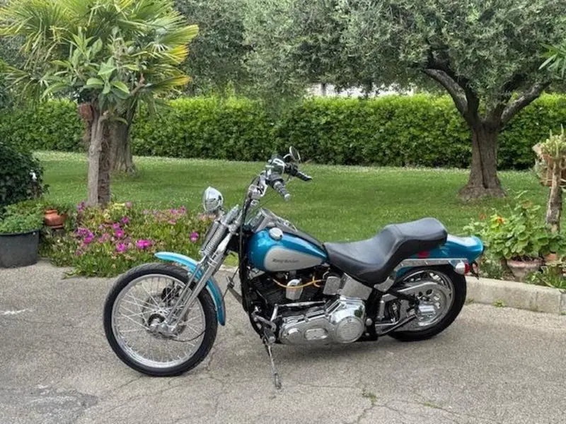 Harley-Davidson 1340 Springer (1990 - 98) - FXSTS (12)
