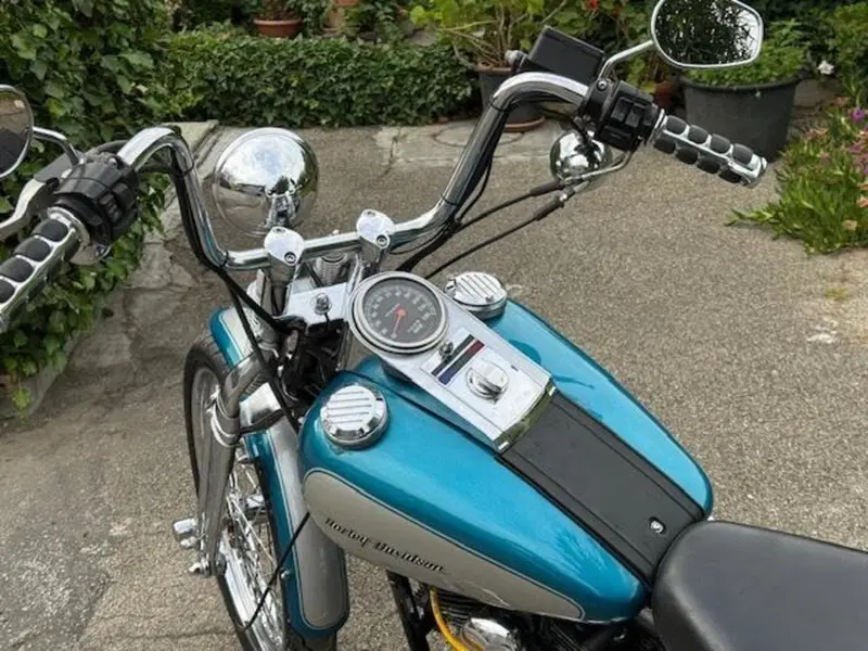 Harley-Davidson 1340 Springer (1990 - 98) - FXSTS (13)