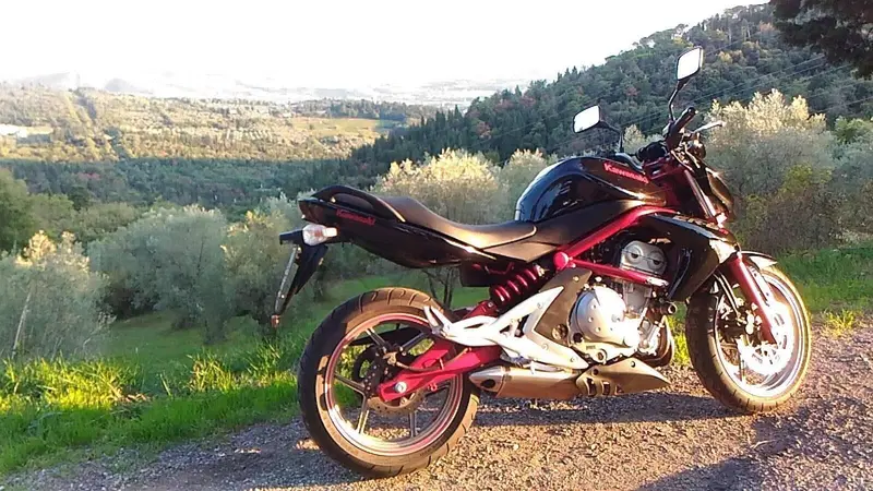 Kawasaki ER-6N (2006 - 09) (4)