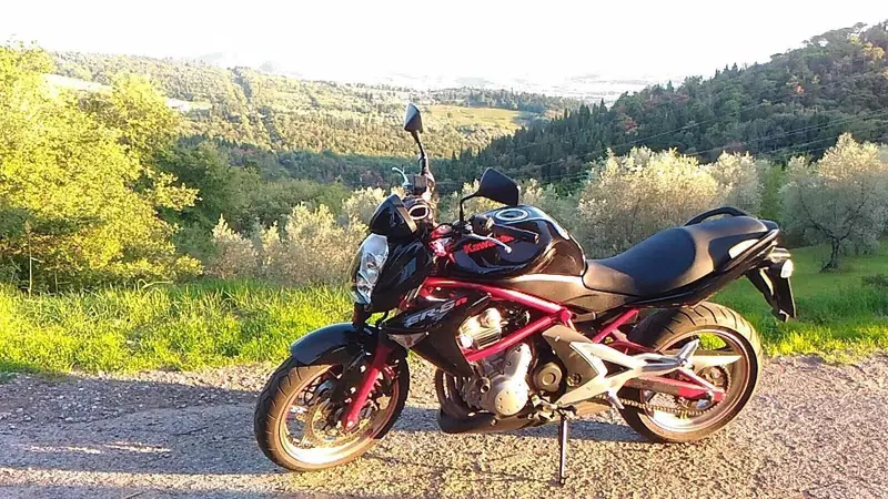 Kawasaki ER-6N (2006 - 09) (5)