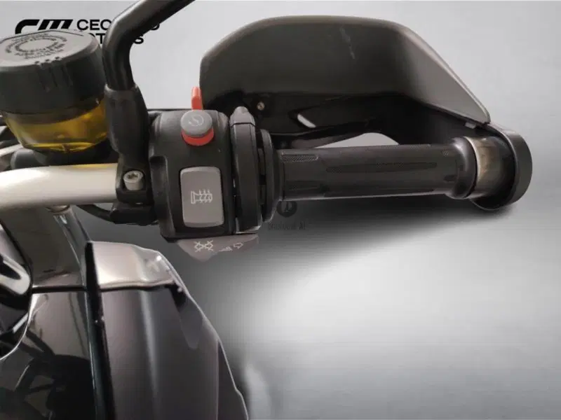 Bmw R 1200 GS (2010 - 12) (13)