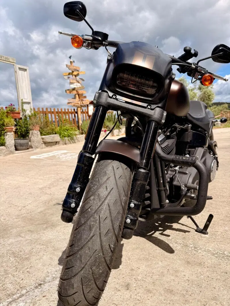 Harley-Davidson 114 Fat Bob (2018 - 20) - FXFBS (2)