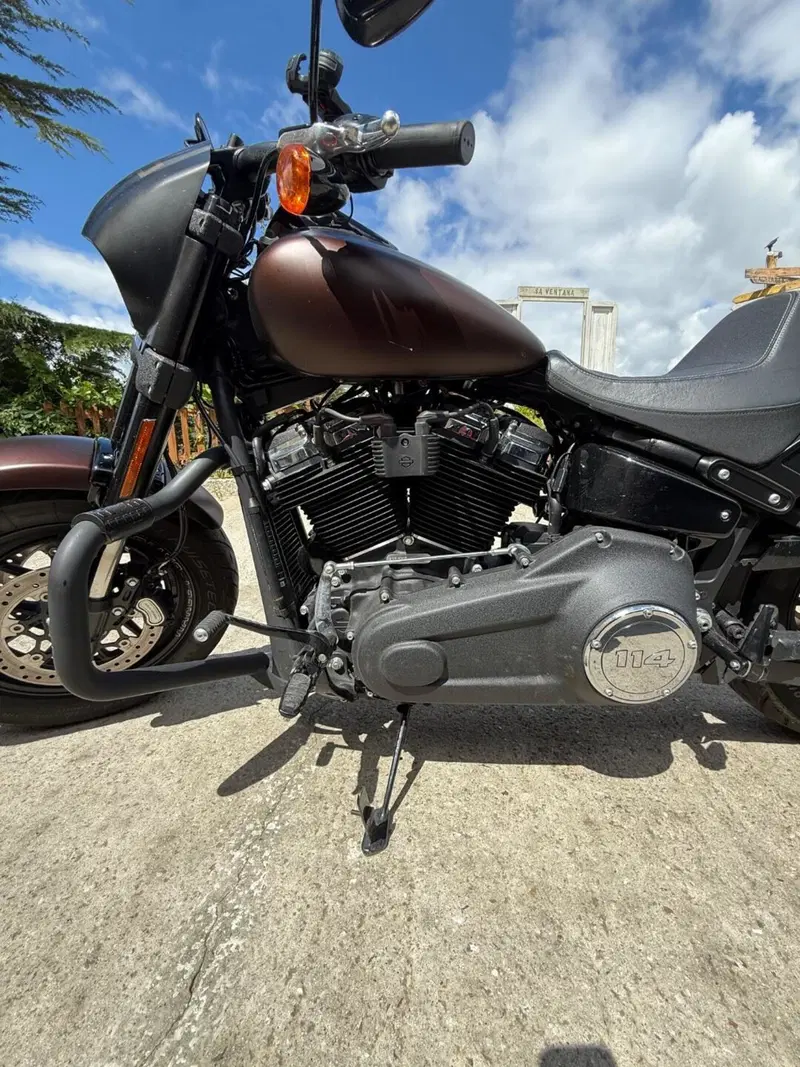 Harley-Davidson 114 Fat Bob (2018 - 20) - FXFBS (4)