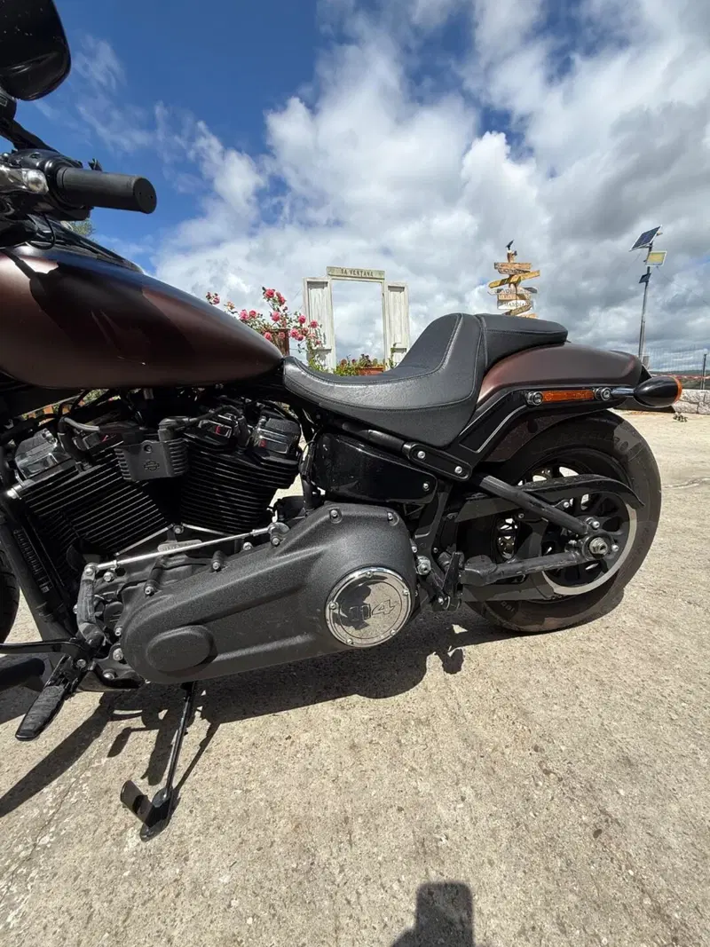 Harley-Davidson 114 Fat Bob (2018 - 20) - FXFBS (5)