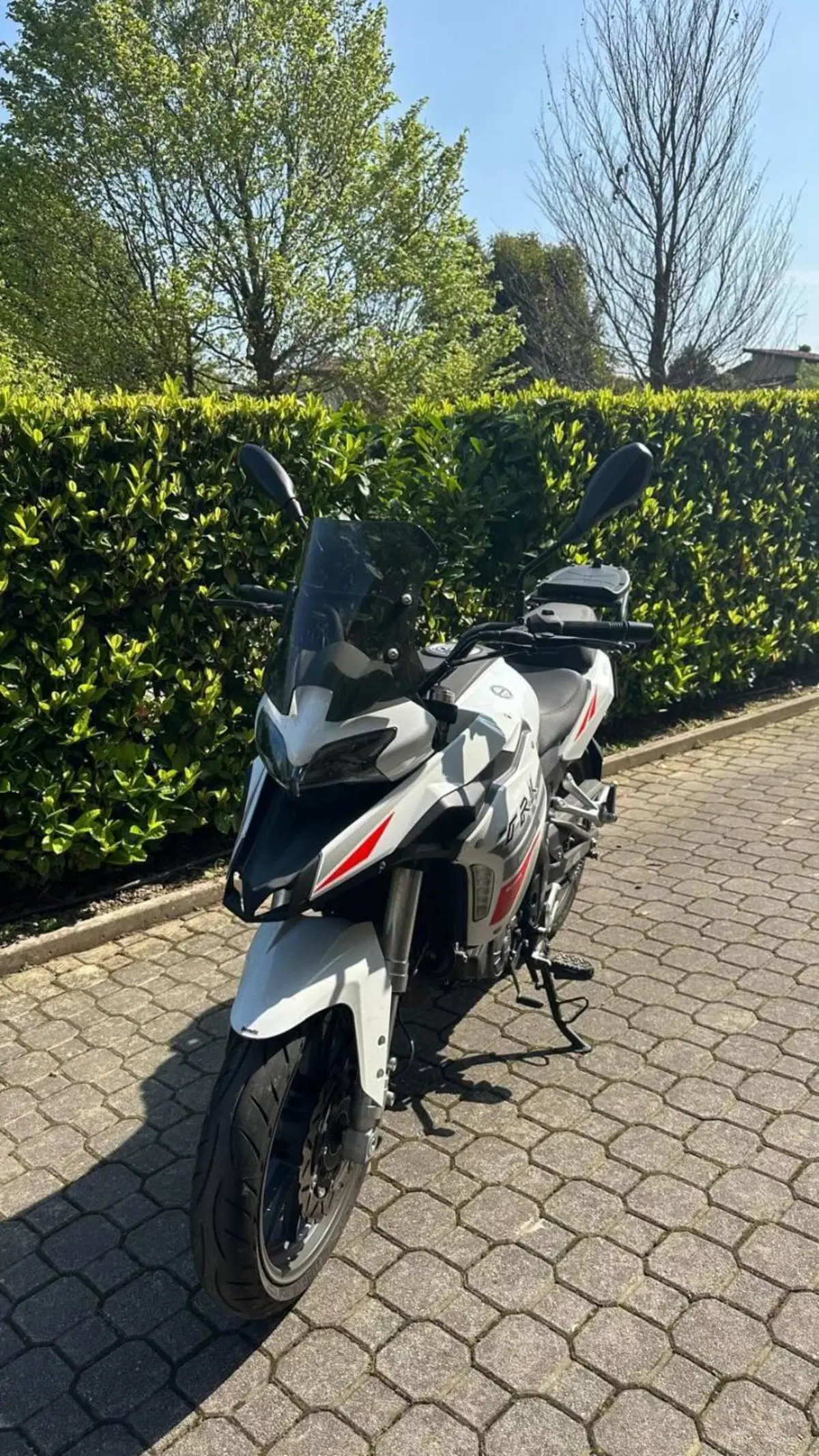 Benelli TRK 251 (2022 - 25) (2)