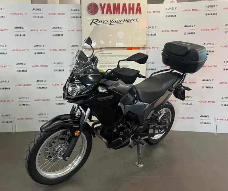 Kawasaki Versys-X 300 (2017 - 20) (2)
