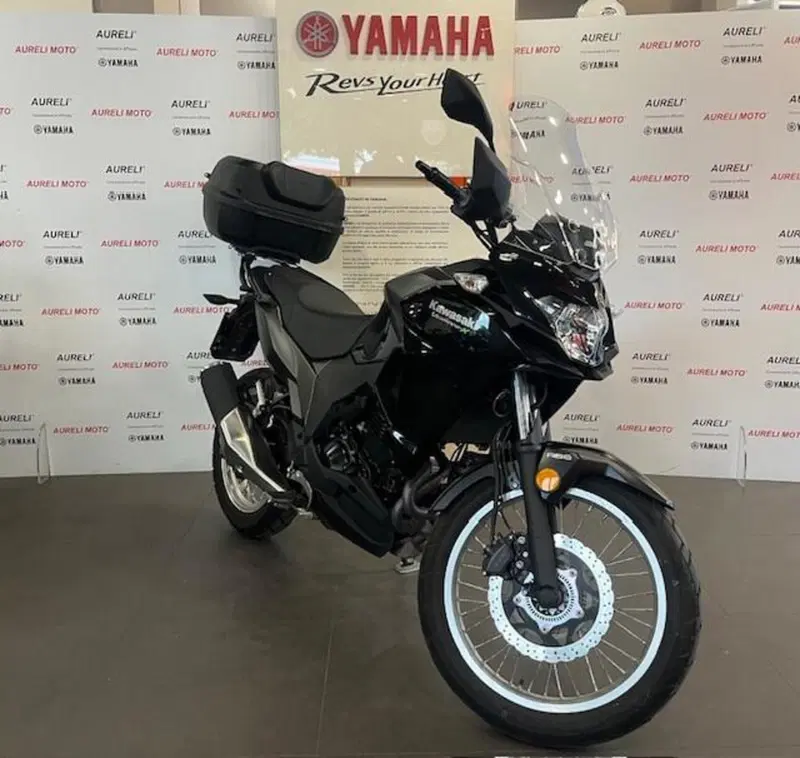 Kawasaki Versys-X 300 (2017 - 20) (3)