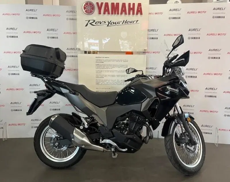 Kawasaki Versys-X 300 (2017 - 20) (4)