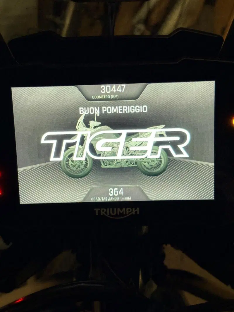 Triumph Tiger 900 GT Pro (2020 - 23) (9)