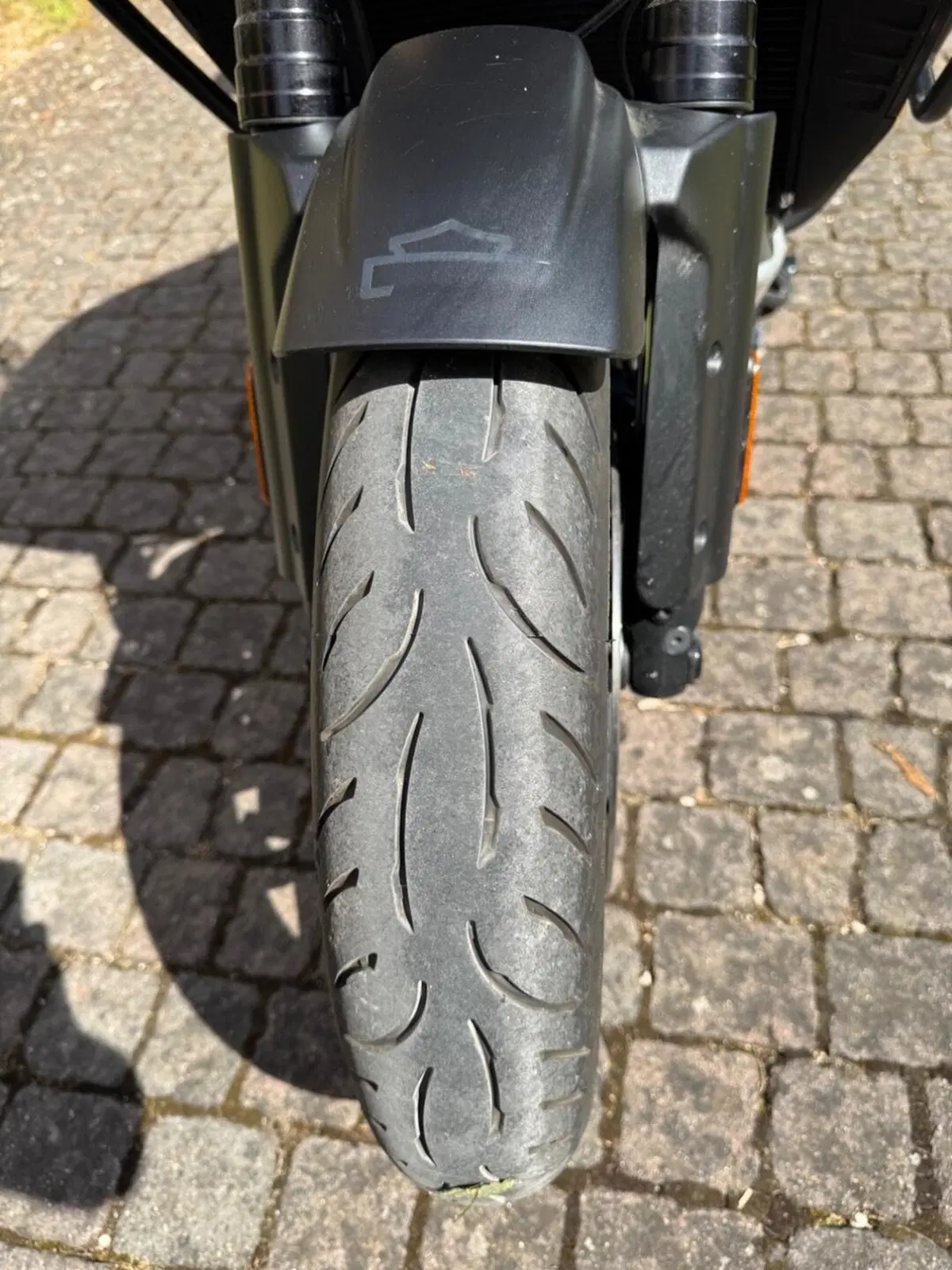 Harley-Davidson Pan America 1250 Special (2020 - 25) (8)